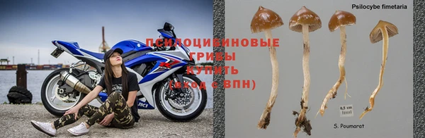 каннабис Пересвет