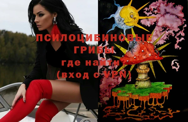 гашик Киров